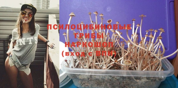 дмт Балабаново