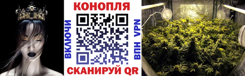kraken маркетплейс  Златоуст  Марихуана сатива 