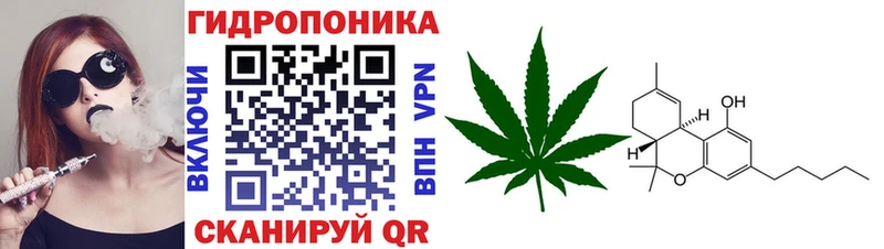 Канабис SATIVA & INDICA Златоуст